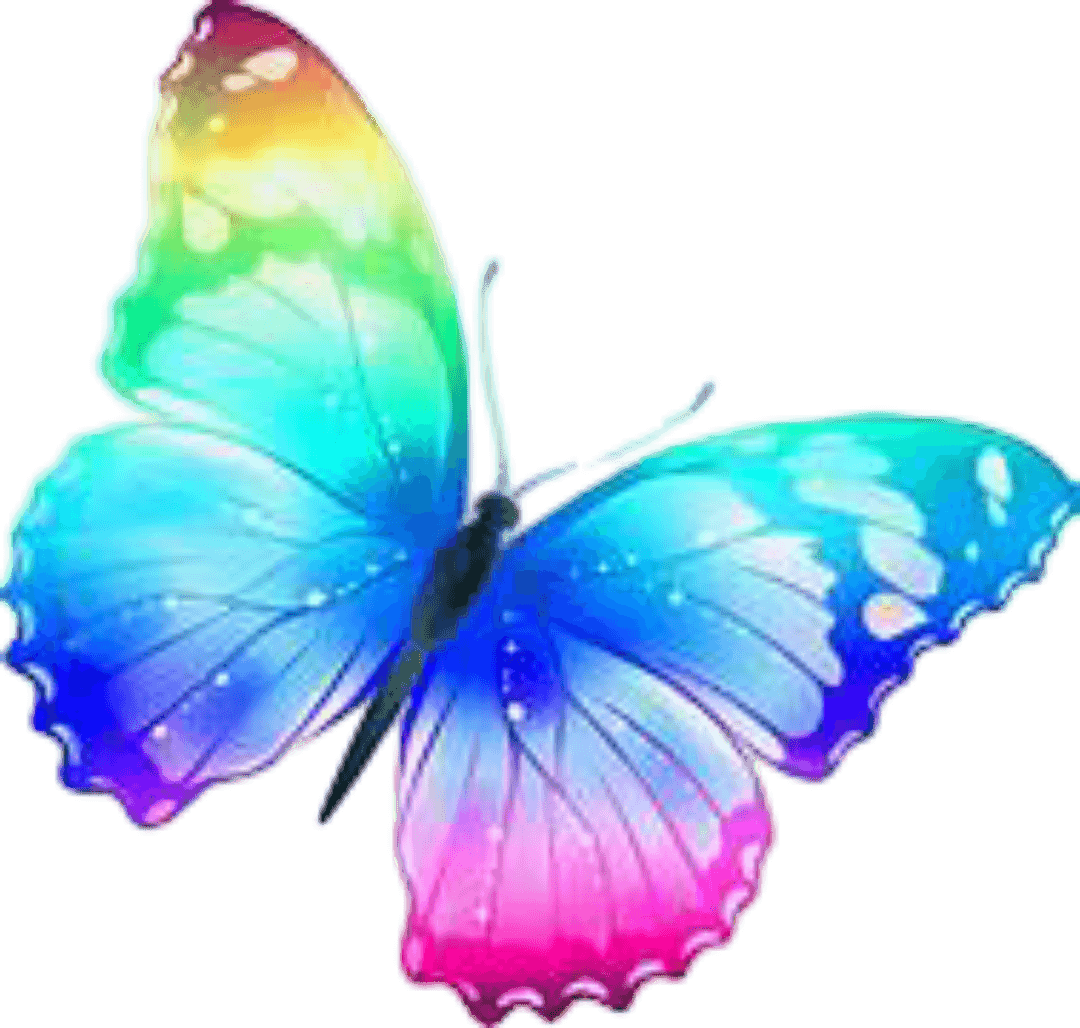 Beautiful butterfly