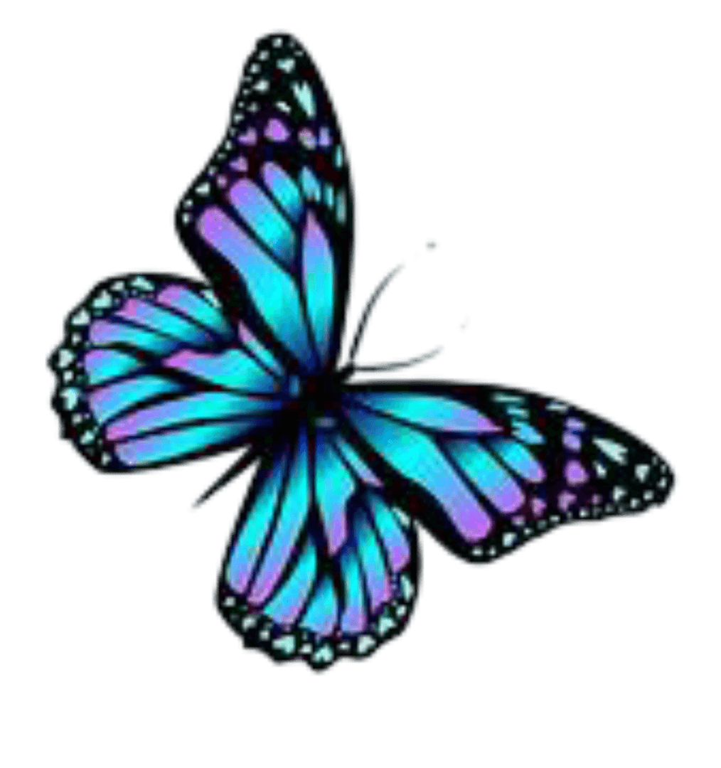 Beautiful butterfly