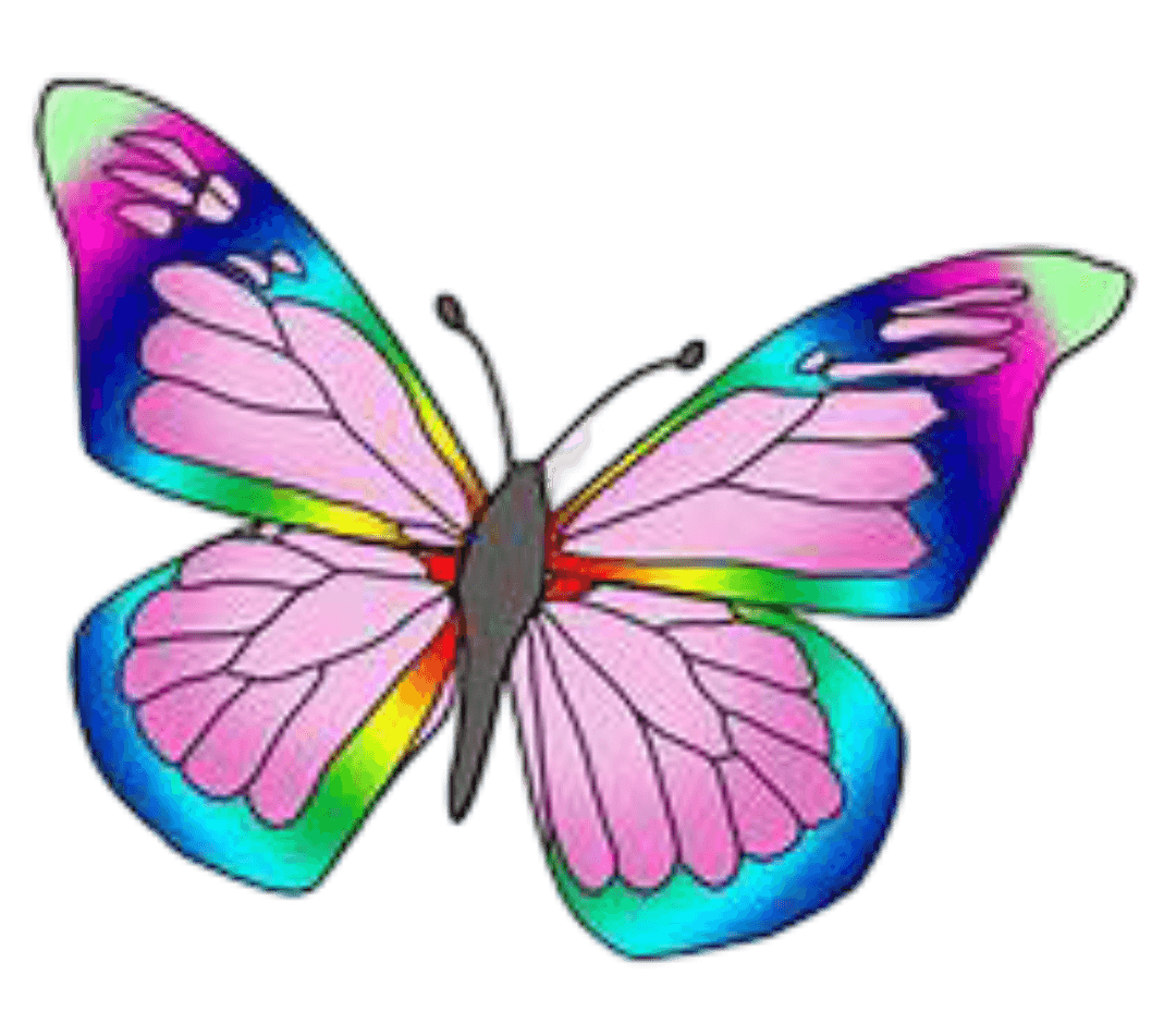 Beautiful butterfly
