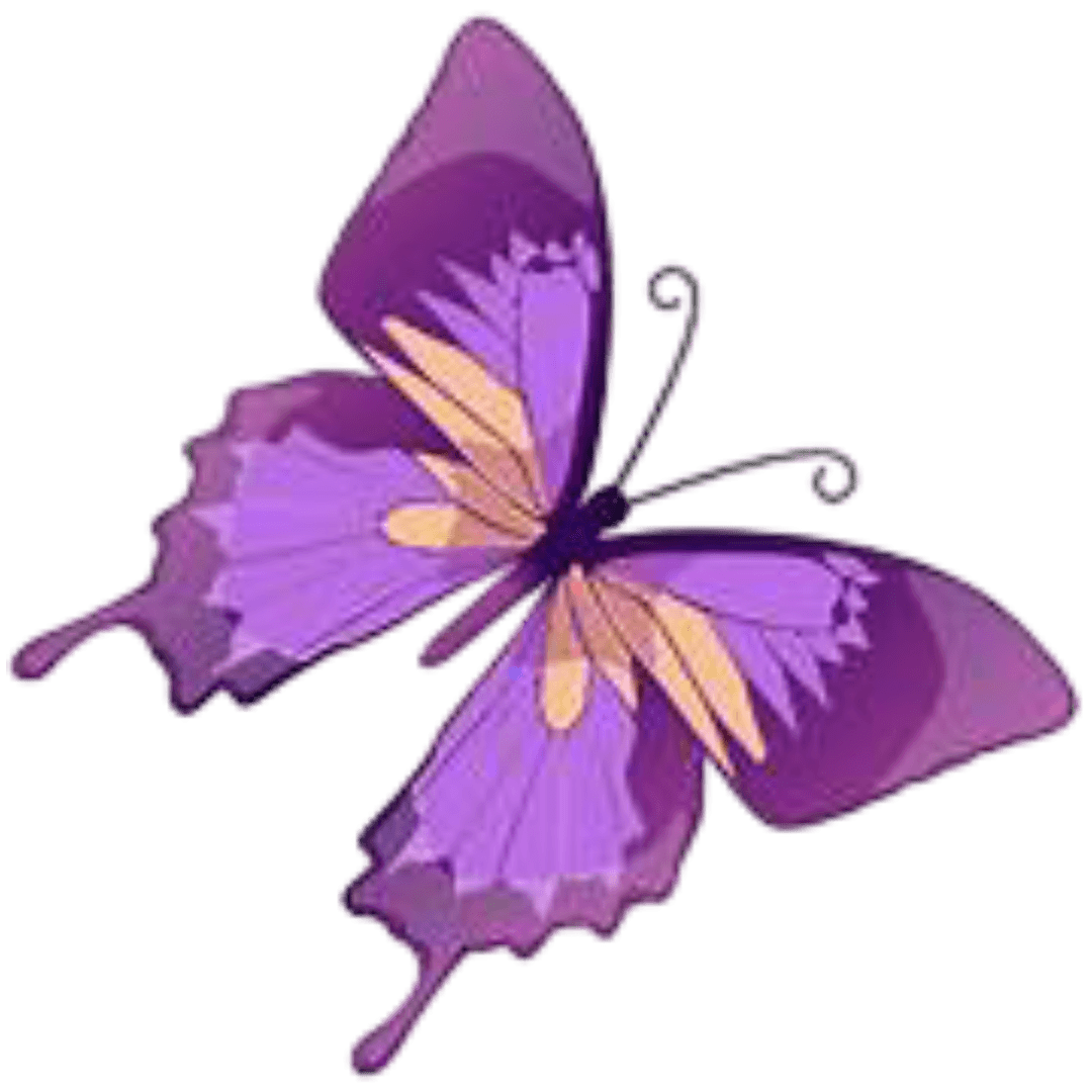 Beautiful butterfly