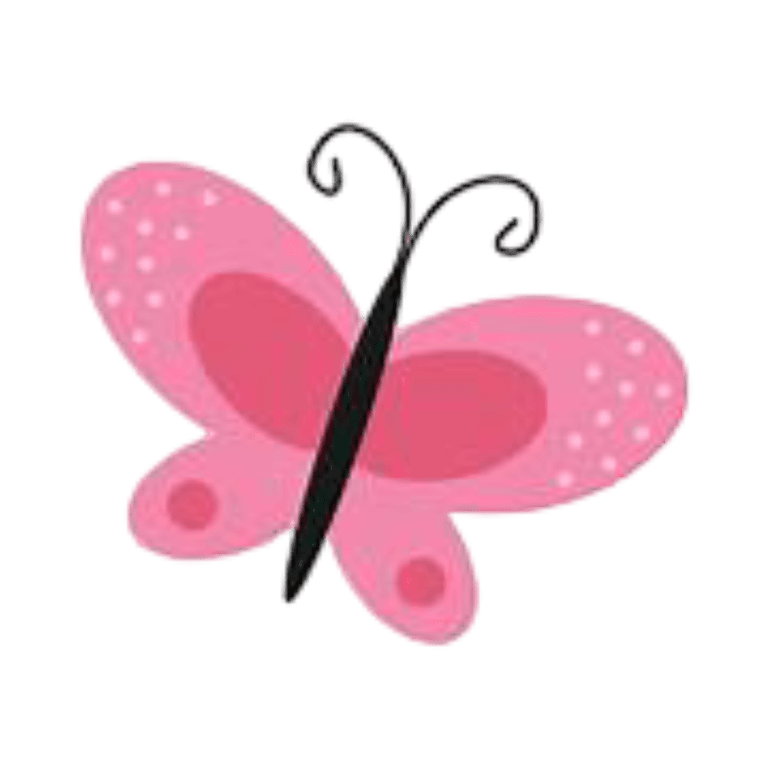 Beautiful butterfly
