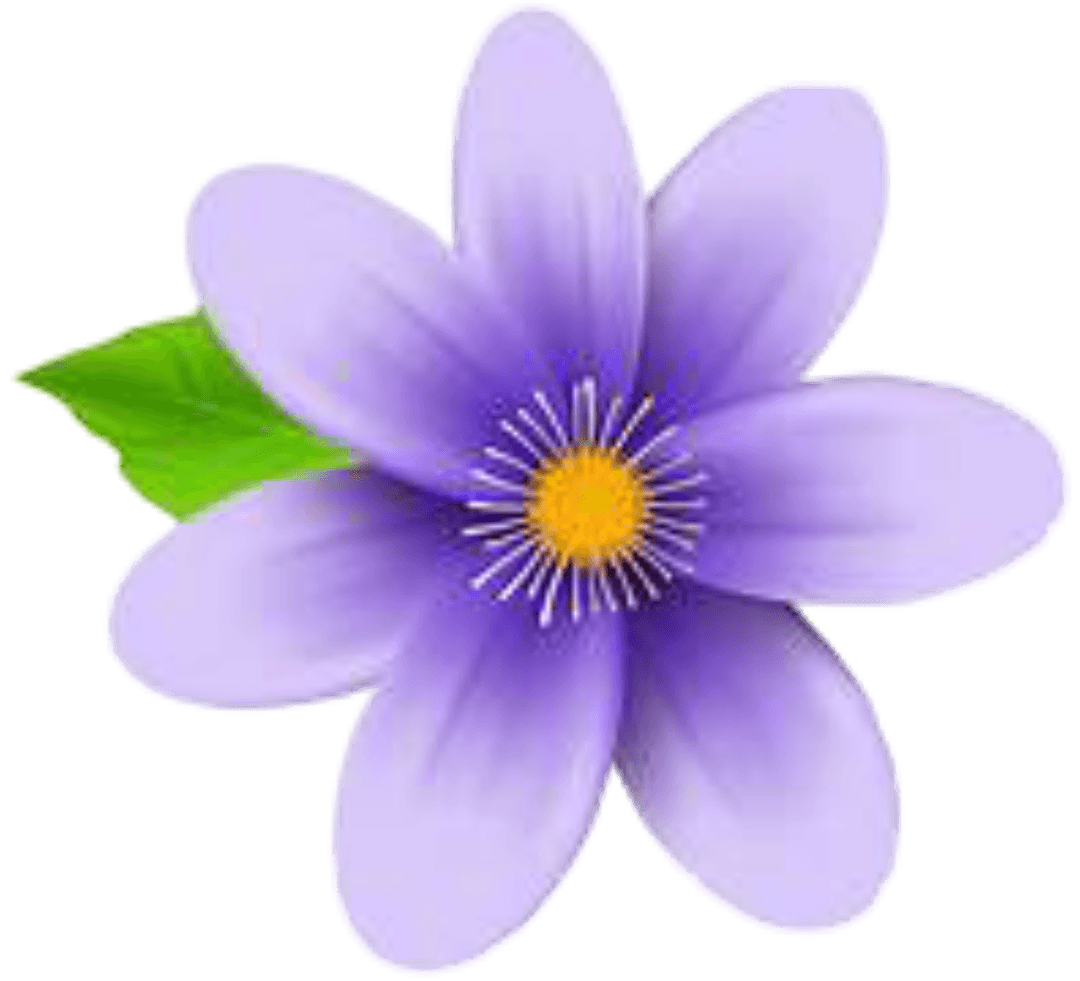 Beautiful flower
