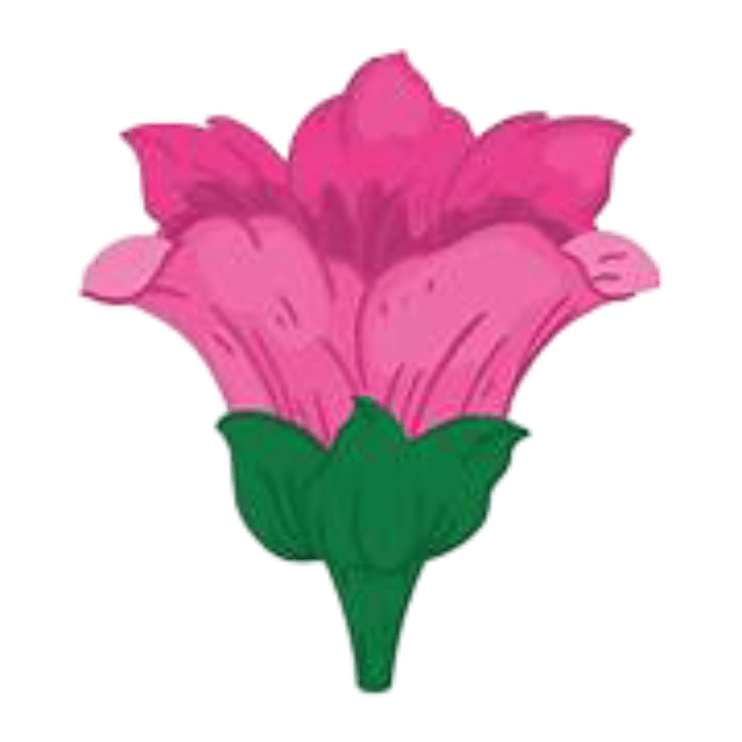 Beautiful flower