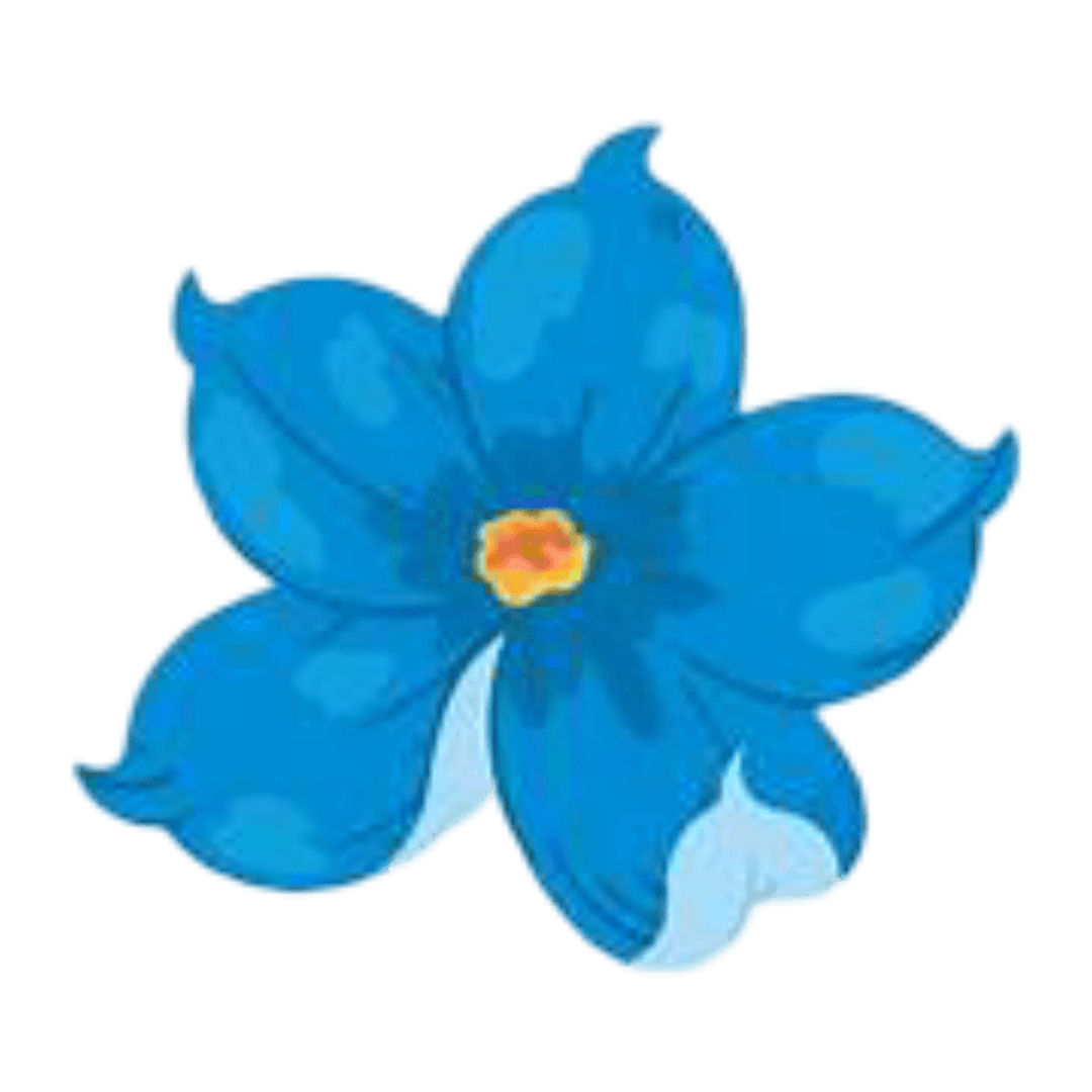 Beautiful flower
