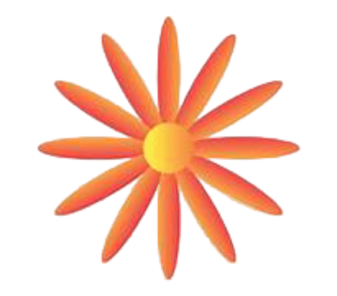 Beautiful flower