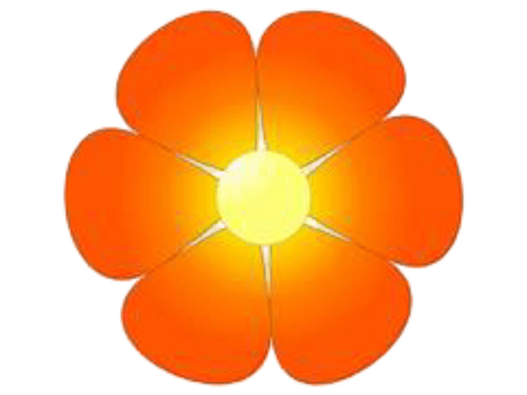 Beautiful flower