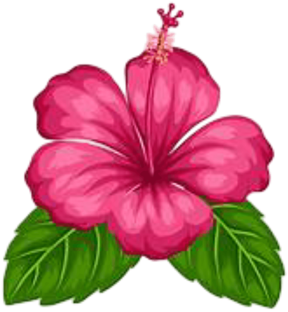 Beautiful flower
