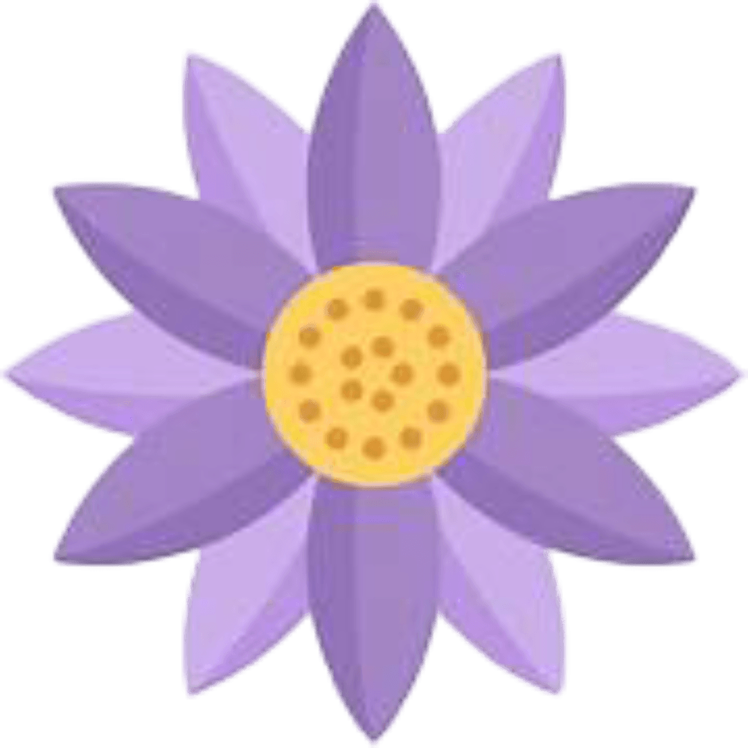 Beautiful flower
