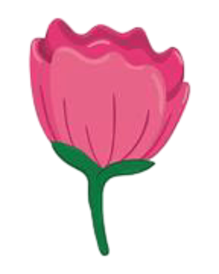 Beautiful flower