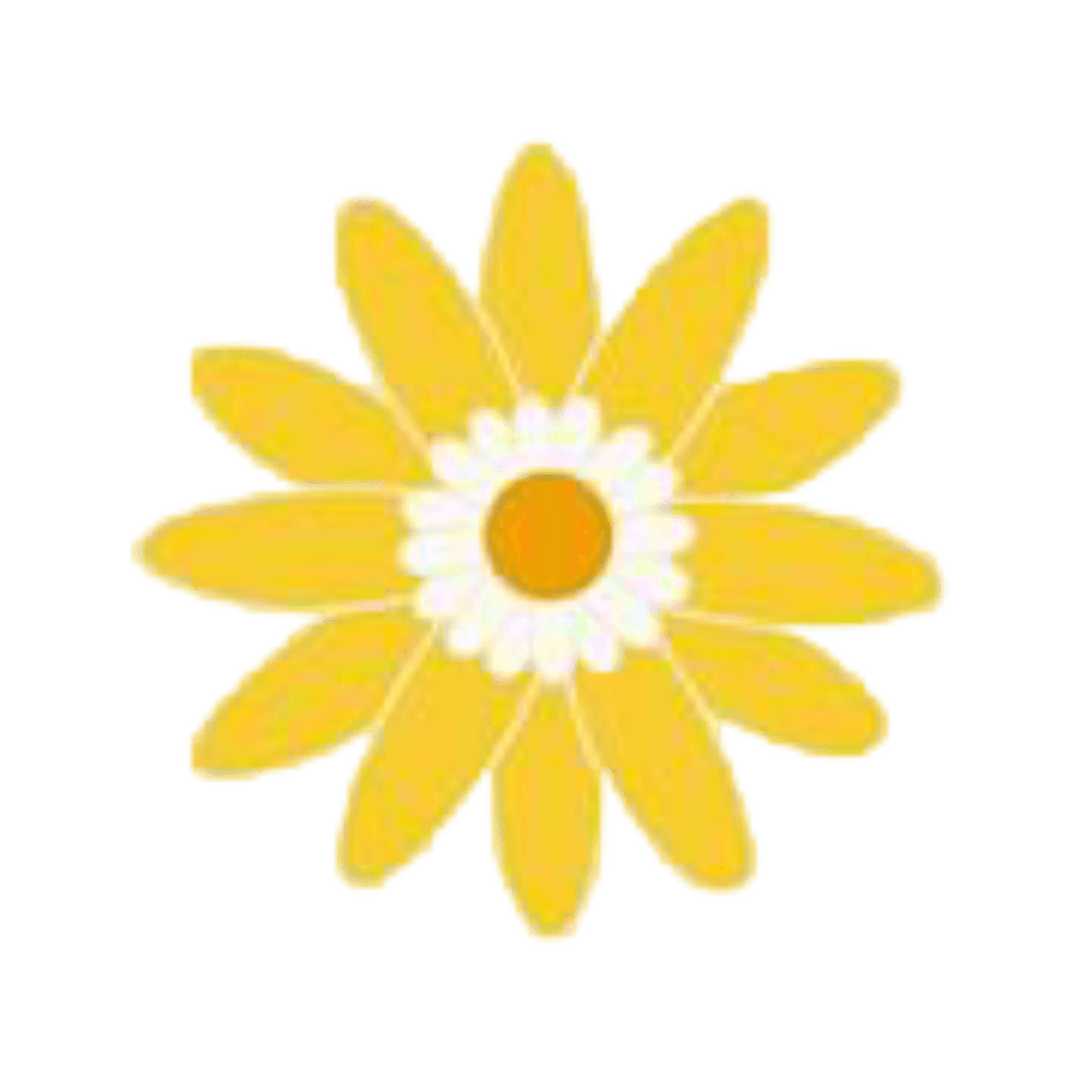 Beautiful flower